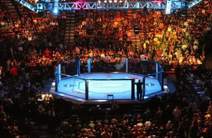 Ultimate Fighting Championship: UFC Freedom 250 Set for Historic Event at the White House
