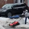 Viral Videos: A Lawn Mower and a Puppy Incident Capture Attention