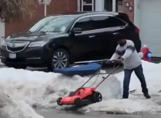 Viral Videos: A Lawn Mower and a Puppy Incident Capture Attention