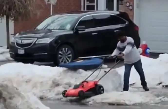 Viral Videos: A Lawn Mower and a Puppy Incident Capture Attention