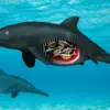 180 million year old ichthyosaur: What Does the Discovery of a Reveal?