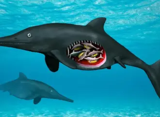 180 million year old ichthyosaur: What Does the Discovery of a Reveal?