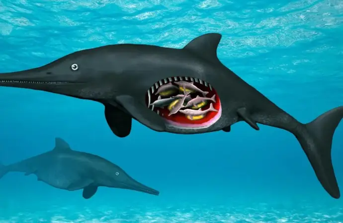180 million year old ichthyosaur: What Does the Discovery of a Reveal?