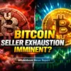 அரசியல்: What is the Impact of Political Tensions on Cryptocurrency Prices?