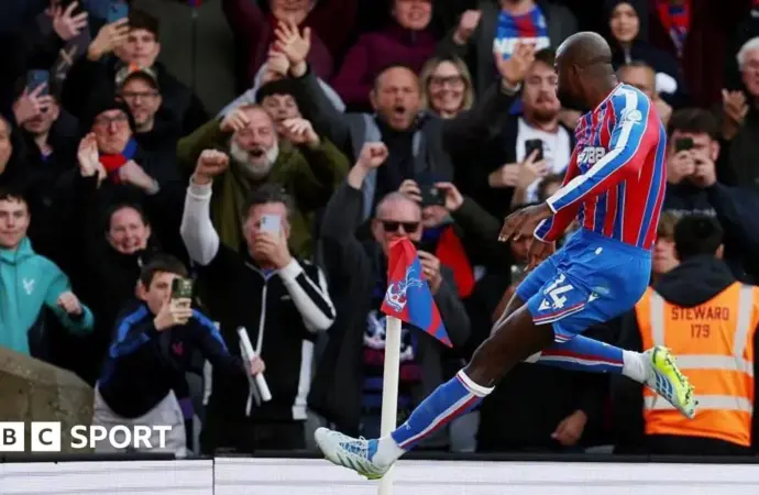 Crystal palace vs newcastle: What Happened in the  Match?