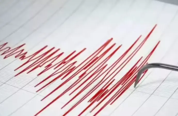 Earthquake: What Happened During the Recent  in Delhi-NCR?