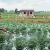 Imd 2026 monsoon forecast: What Does the  Indicate for India?