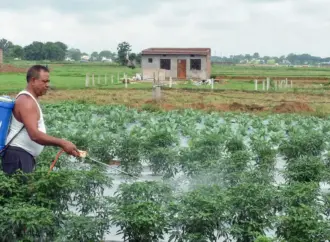 Imd 2026 monsoon forecast: What Does the  Indicate for India?