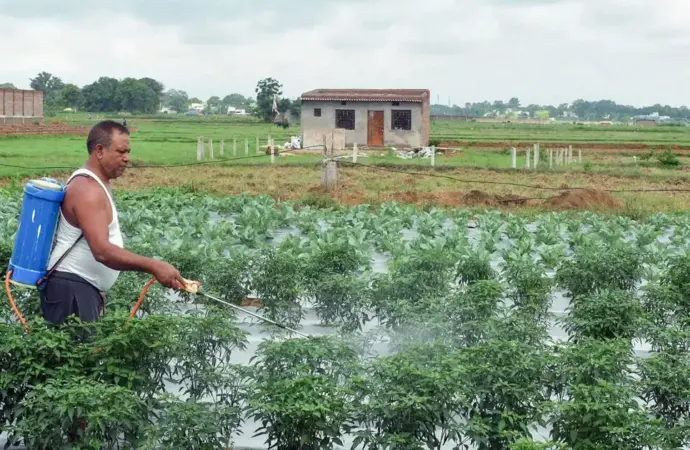 Imd 2026 monsoon forecast: What Does the  Indicate for India?