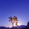 Lyrid meteor shower: Why Does the  Matter This April?