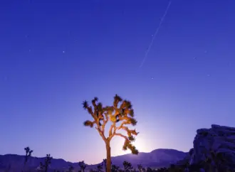 Lyrid meteor shower: Why Does the  Matter This April?