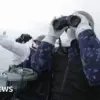 Nato: What is the Current Situation with ?