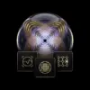 Nvidia: How Is  Transforming Quantum Computing with Ising Models?