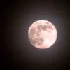 Pink moon: What is the significance of the  in 2026?