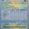 Puc result 2026 karnataka: What to Expect from the ?