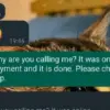 Rapido rider messages woman: What Happened with the Rapido Rider Messages to a Woman?