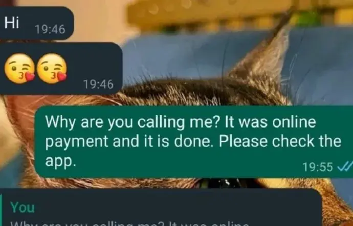 Rapido rider messages woman: What Happened with the Rapido Rider Messages to a Woman?