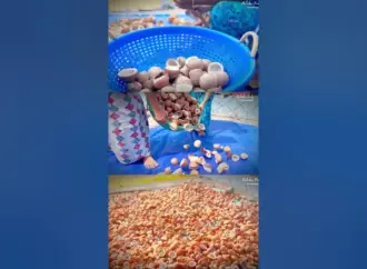 വെളിച്ചെണ്ണ: Why Are Coconut Prices Falling in Kerala?