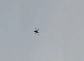 Video videos: What Are the Latest Developments in ?