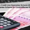 Emergency Credit Line Guarantee Scheme: What Does ECLGS 5.0 Mean for MSMEs and Airlines?