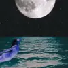 Flower moon full moon astrology: What is the significance of the in May 2026?