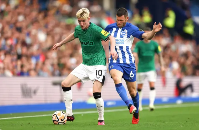 Newcastle vs brighton: What Happened in Match?