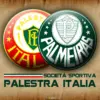Palmeiras vs santos: What Happened in Match?