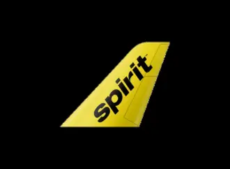 Spirit airlines: What Led to the Collapse of ?