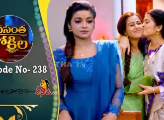 Why is the release of Vasantha Kokila on OTT significant?